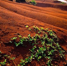  重返战场！再战War3二十周年庆典活动即将开启